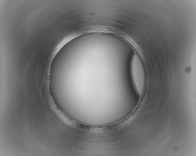 X0000091931378200709051232
