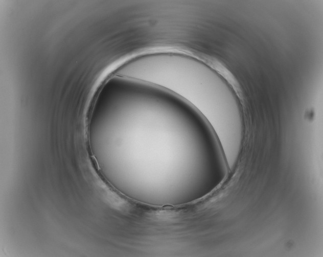 X0000091931380200709051232