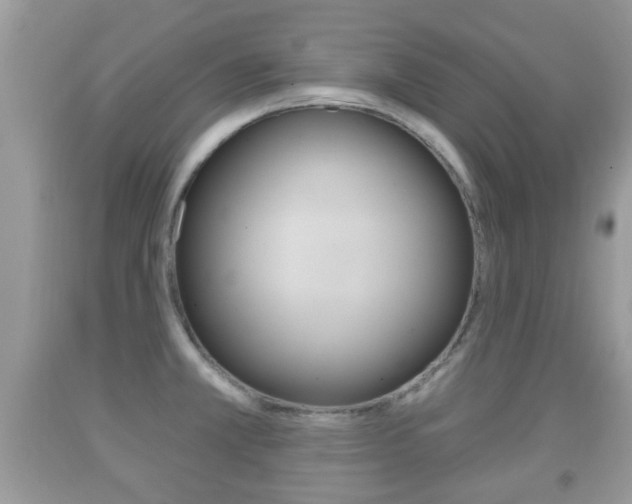 X0000091931381200709051232