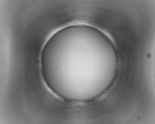 X0000091931382200709051232