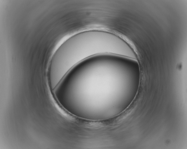 X0000091931383200709051232