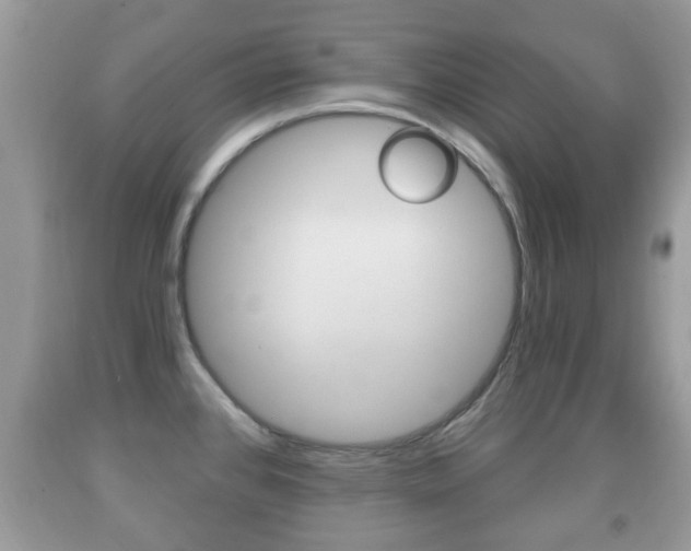 X0000091931384200709051232