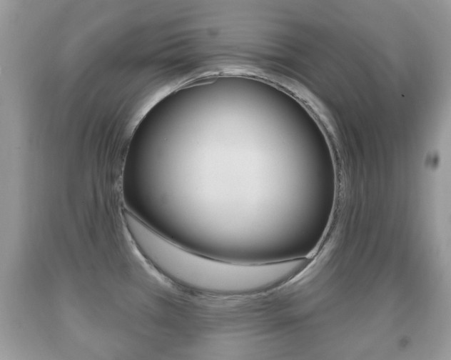 X0000091931385200709051232