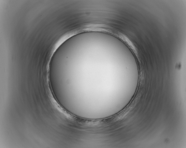 X0000091931386200709051232