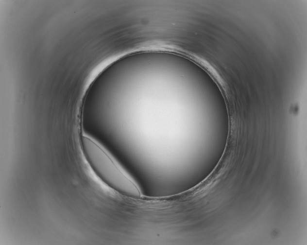 X0000091931387200709051232