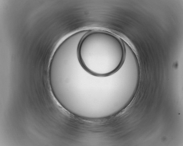 X0000091931388200709051232