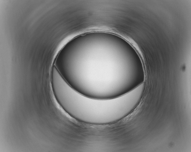 X0000091931389200709051232