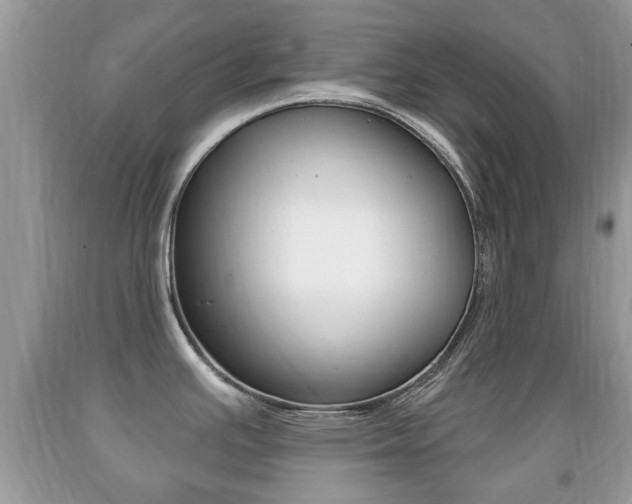 X0000091931391200709051232