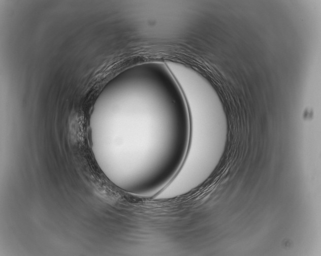 X0000091931394200709051231