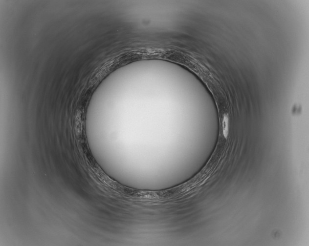 X0000091931395200709051231