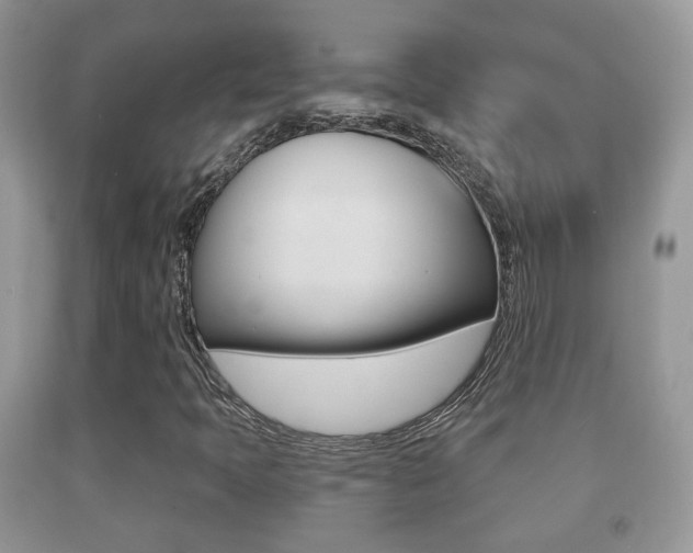 X0000091931397200709051231
