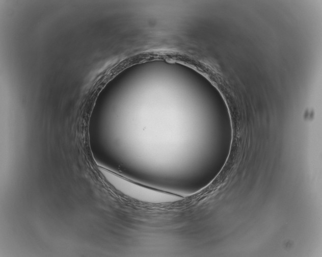 X0000091931398200709051231