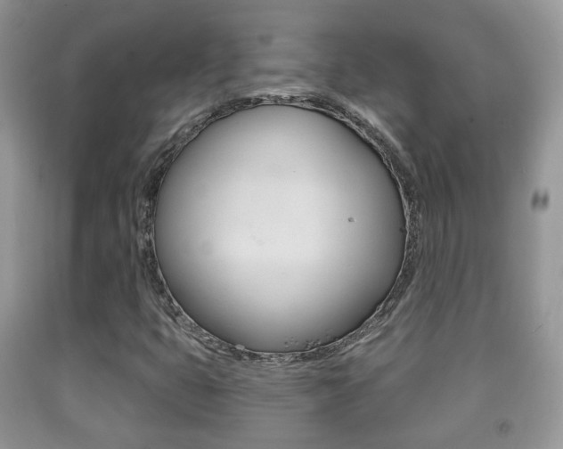 X0000091931399200709051231