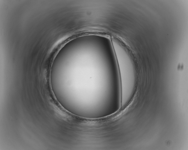X0000091931402200709051231