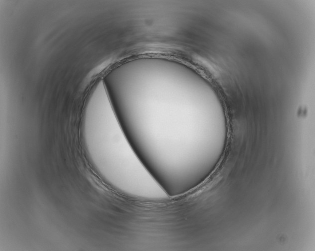 X0000091931403200709051231