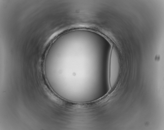 X0000091931404200709051231