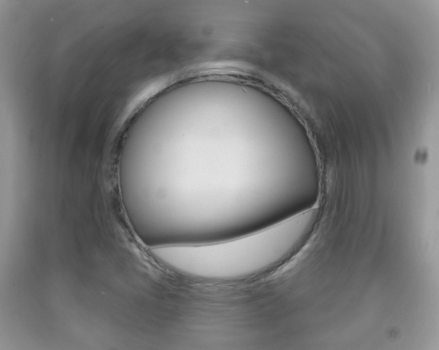 X0000091931405200709051231