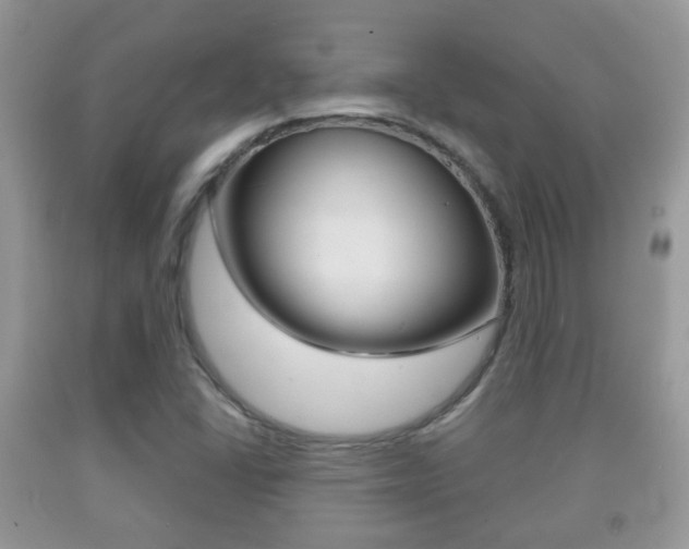 X0000091931406200709051231