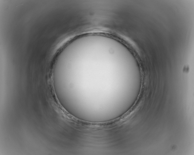 X0000091931407200709051231