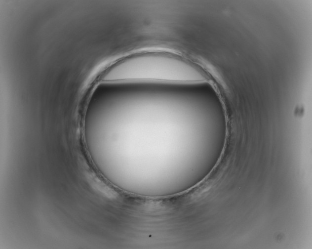 X0000091931408200709051231
