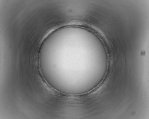 X0000091931409200709051231