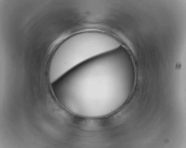 X0000091931411200709051231