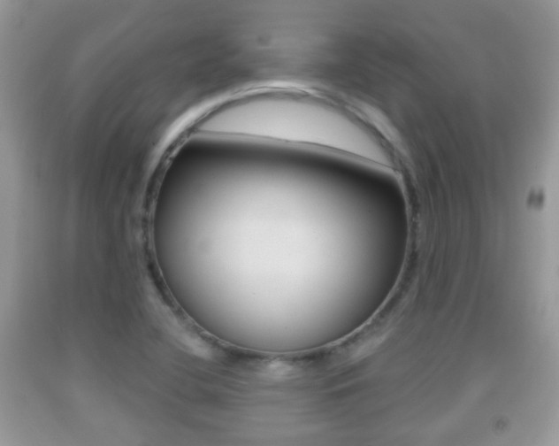 X0000091931412200709051231