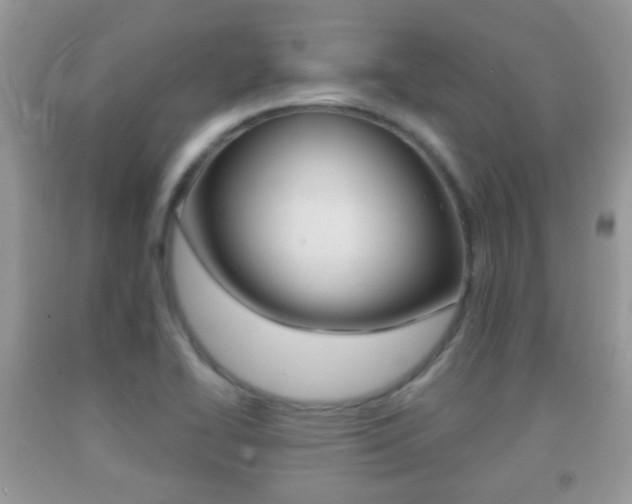 X0000091931414200709051231