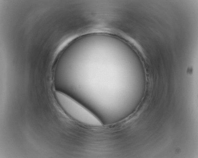 X0000091931415200709051231