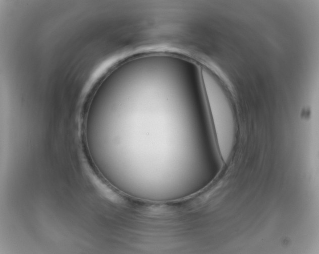 X0000091931416200709051231