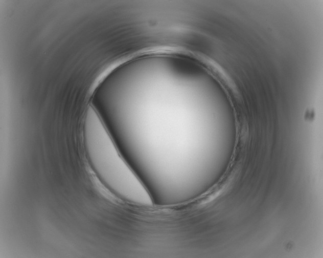 X0000091931417200709051231
