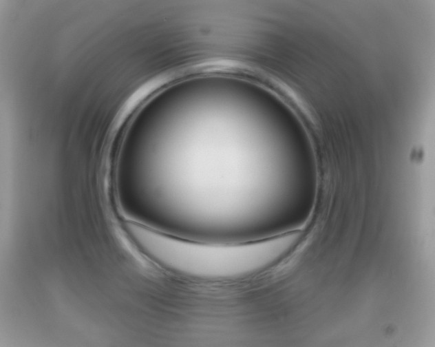X0000091931418200709051231