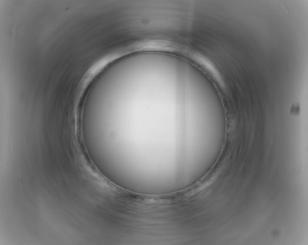 X0000091931419200709051231