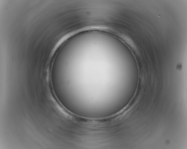 X0000091931420200709051231