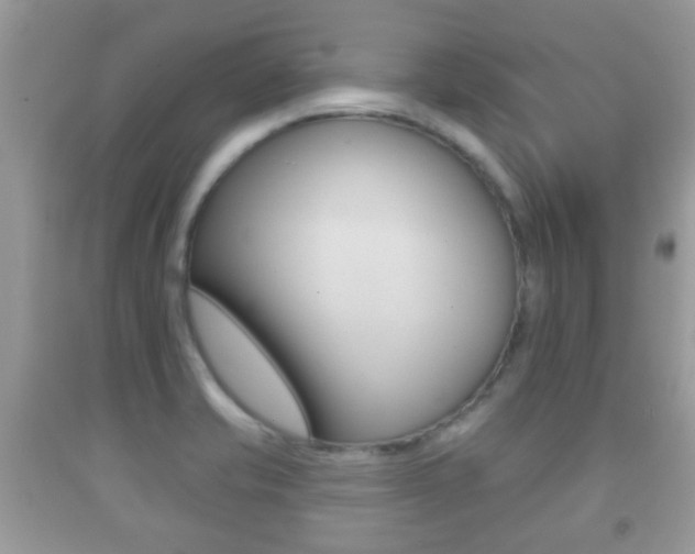 X0000091931421200709051231