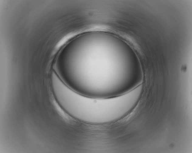 X0000091931422200709051231