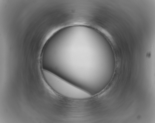 X0000091931423200709051231