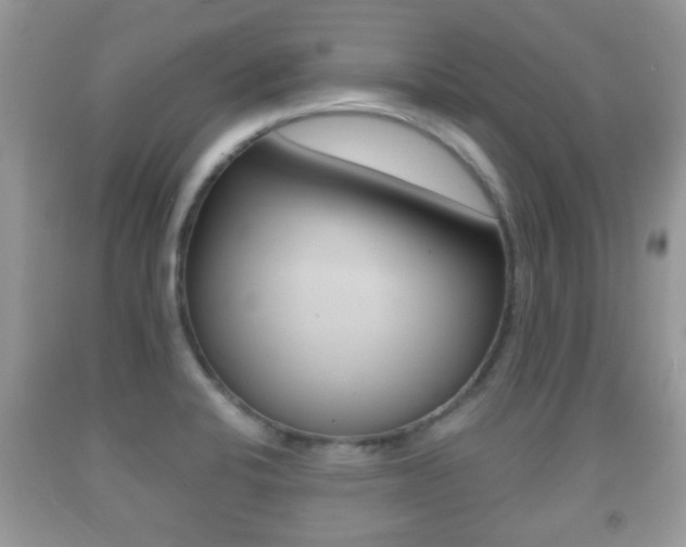 X0000091931424200709051231