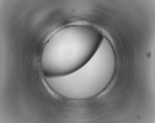 X0000091931425200709051231
