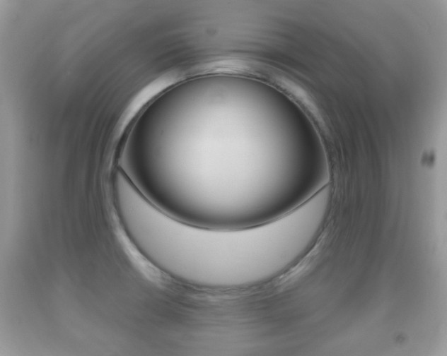 X0000091931426200709051231