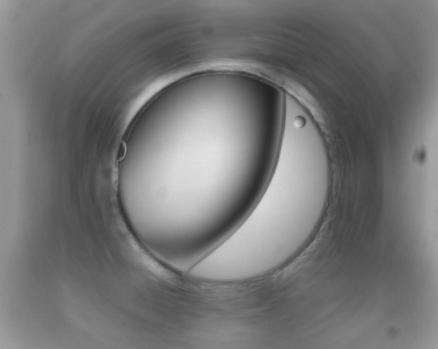 X0000091931428200709051231