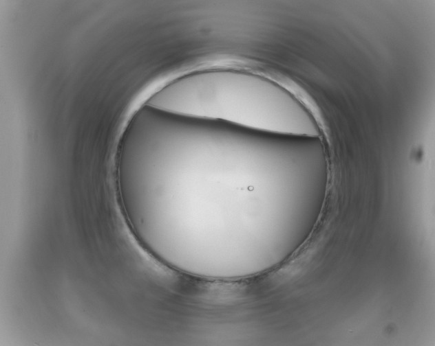 X0000091931429200709051231