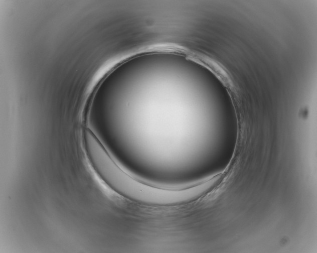 X0000091931430200709051231