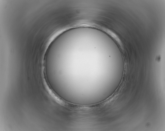 X0000091931431200709051231