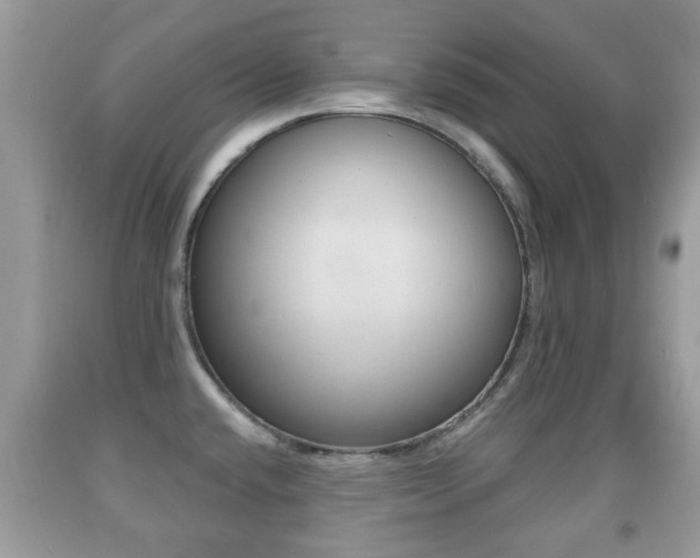 X0000091931432200709051231