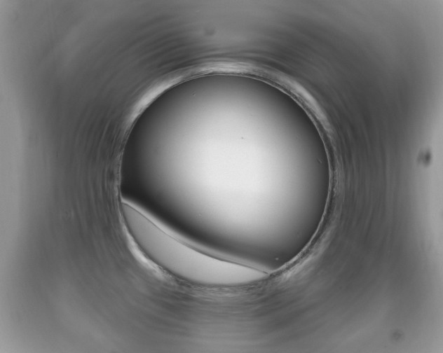 X0000091931433200709051231