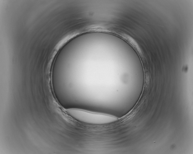 X0000091931435200709051231