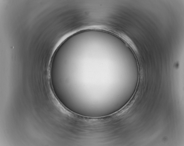 X0000091931436200709051231