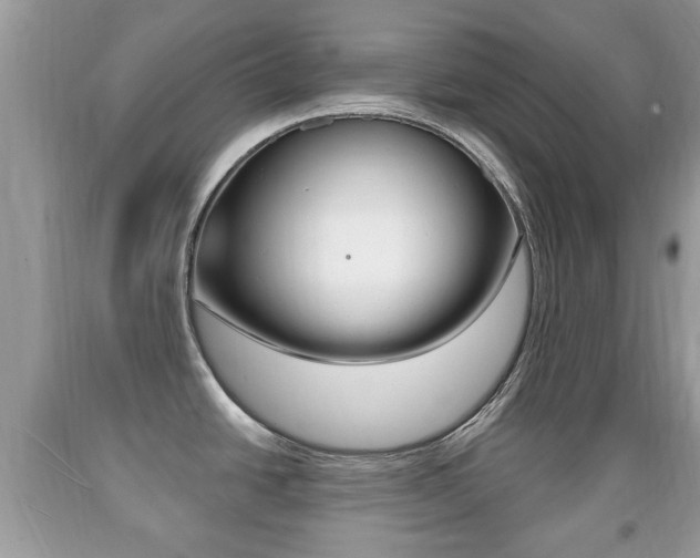 X0000091931438200709051232