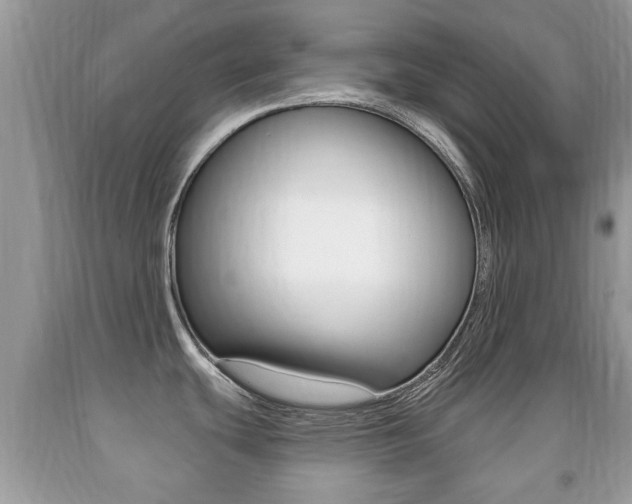 X0000091931439200709051232